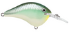 Rapala DT Series 6' 3/8 2