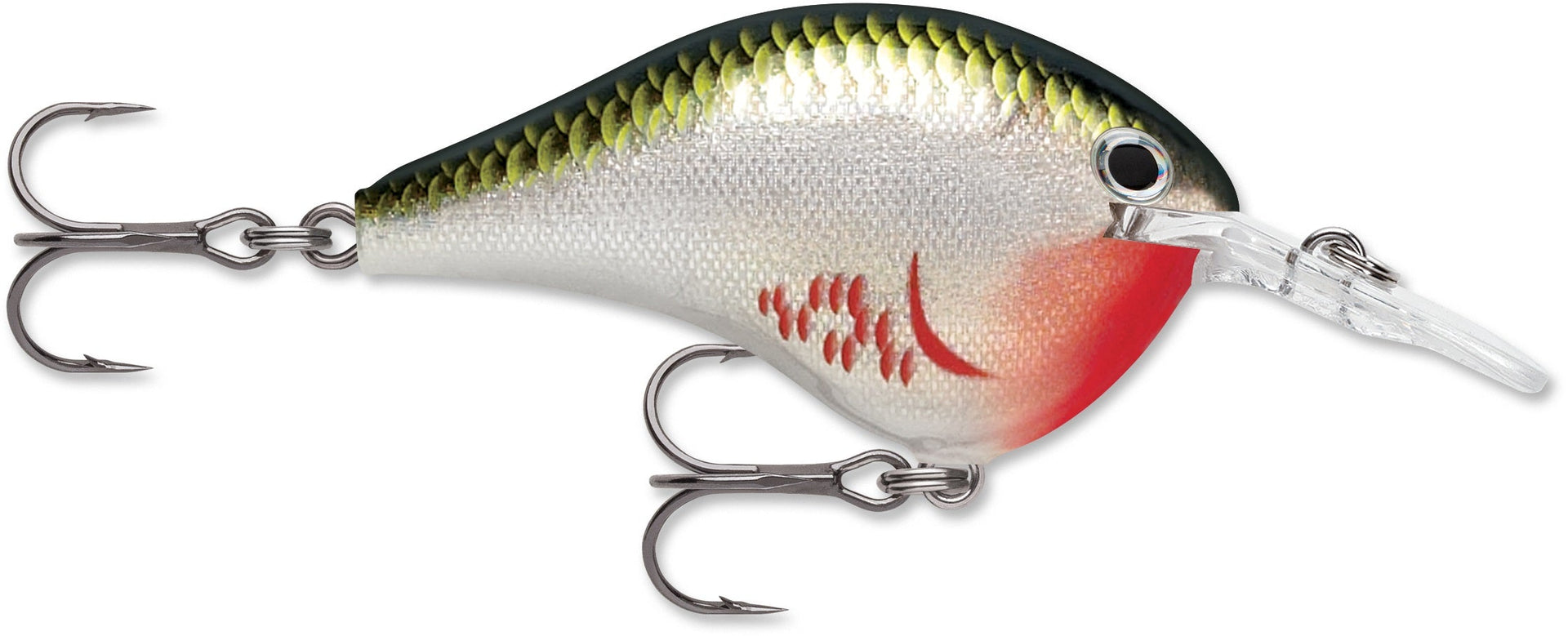 Rapala DT Series 6' 3/8 2