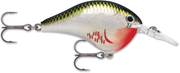 Rapala DT Series 6' 3/8 2