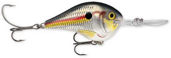 Rapala DT Series 6' 3/8 2