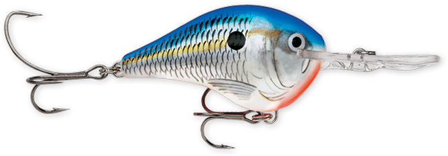 Rapala DT Series 3/5oz Blue Shad