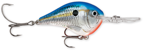 Rapala DT Series 3/5oz Blue Shad