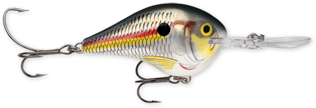 Rapala DT Series 3/5oz Shad