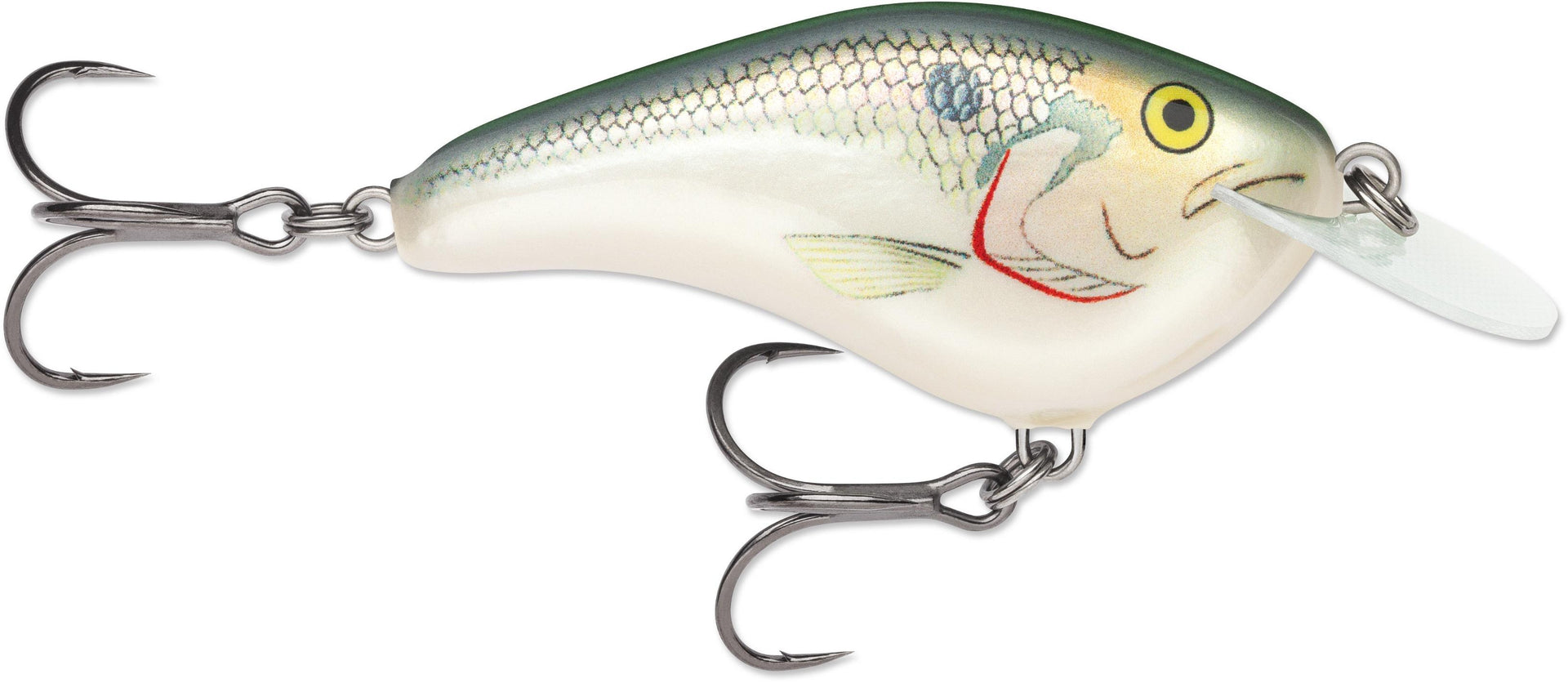 Rapala Ott Garage Slim 6' 1/2 2.75
