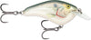 Rapala Ott Garage Slim 6' 1/2 2.75