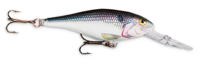 Rapala Shad Rap 2 3/4