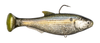 Z-MAN Shadtron LT6in. Slow Sink Threadfin Shad
